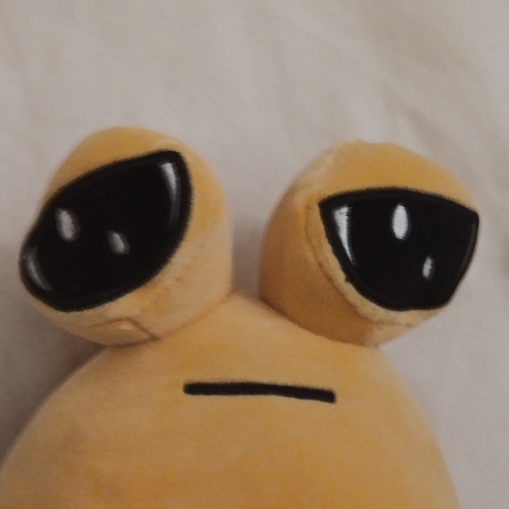 Pou flush - Picture 4 of 4